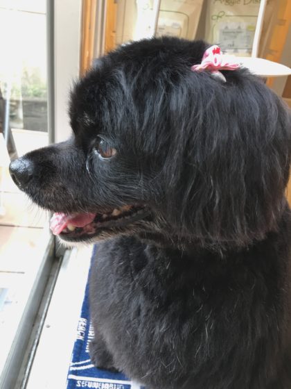 Processed with MOLDIV