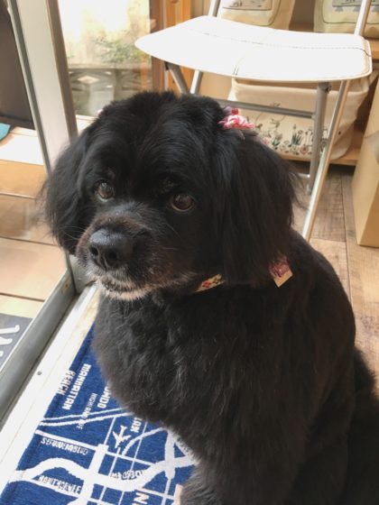 Processed with MOLDIV