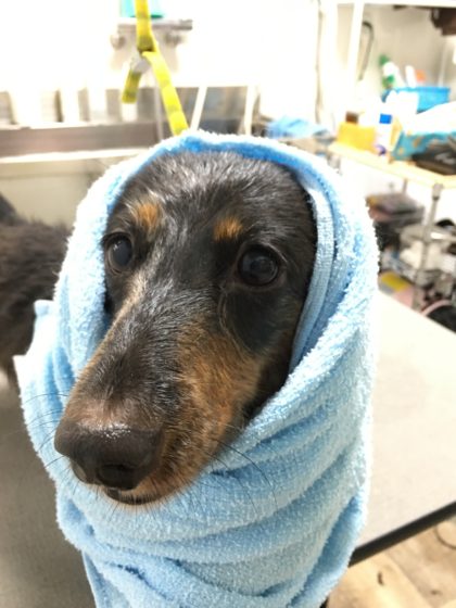 Processed with MOLDIV