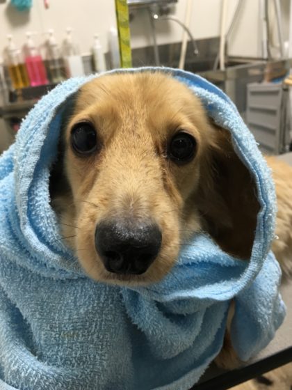 Processed with MOLDIV