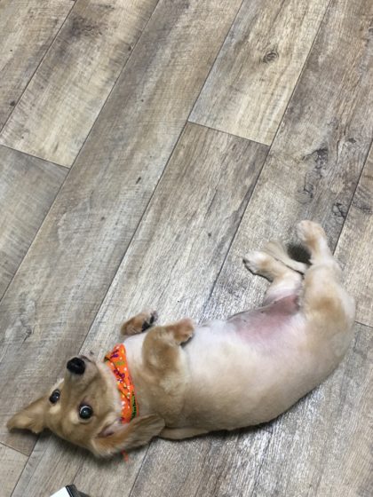 Processed with MOLDIV