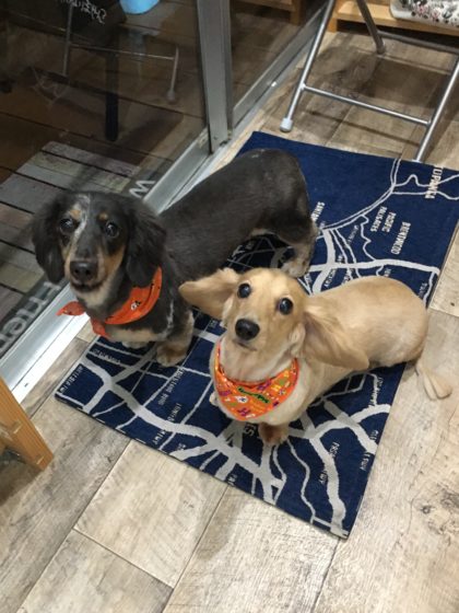 Processed with MOLDIV