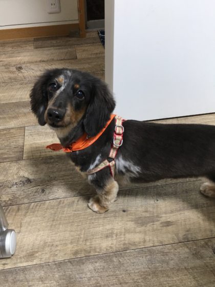 Processed with MOLDIV