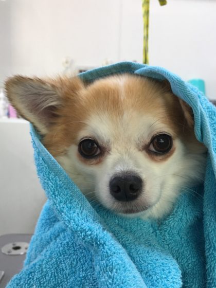 Processed with MOLDIV