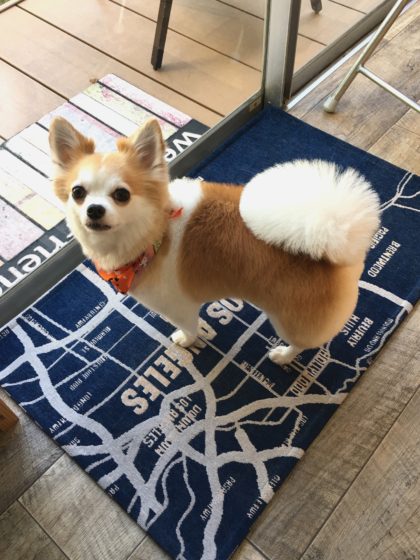 Processed with MOLDIV