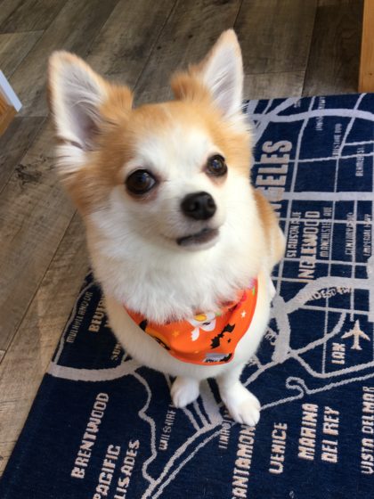 Processed with MOLDIV