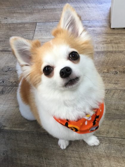 Processed with MOLDIV