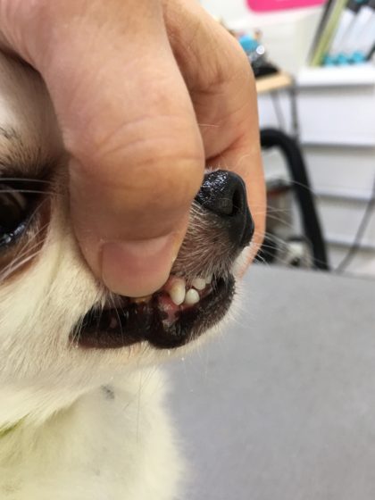 Processed with MOLDIV