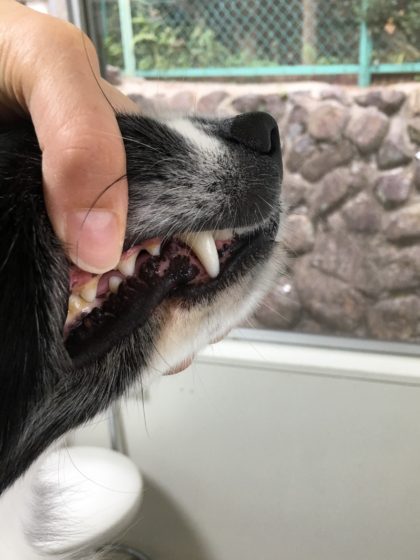 Processed with MOLDIV