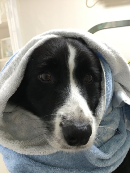 Processed with MOLDIV