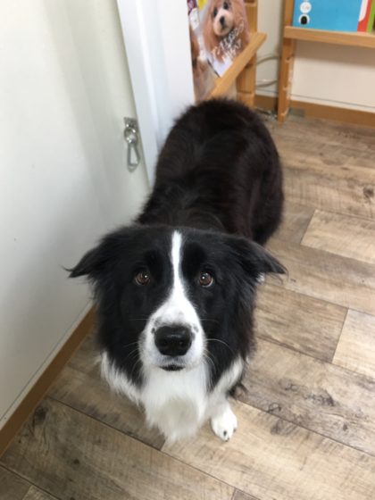 Processed with MOLDIV