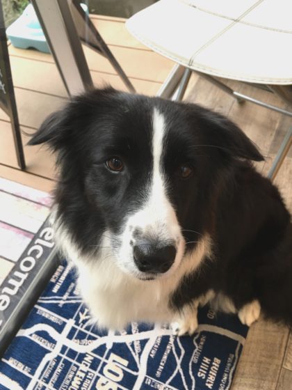 Processed with MOLDIV