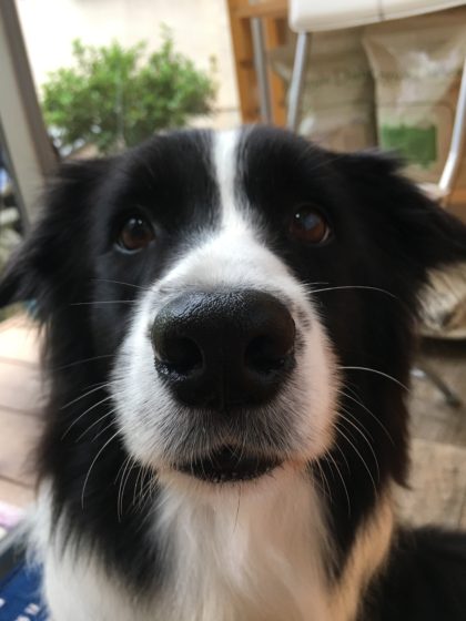 Processed with MOLDIV