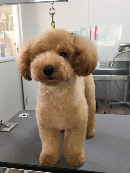 Processed with MOLDIV