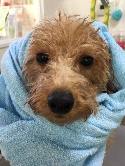 Processed with MOLDIV