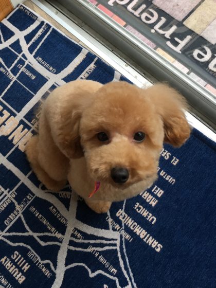 Processed with MOLDIV