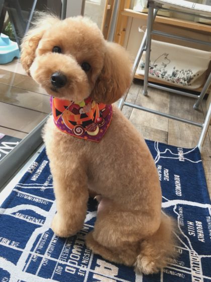 Processed with MOLDIV