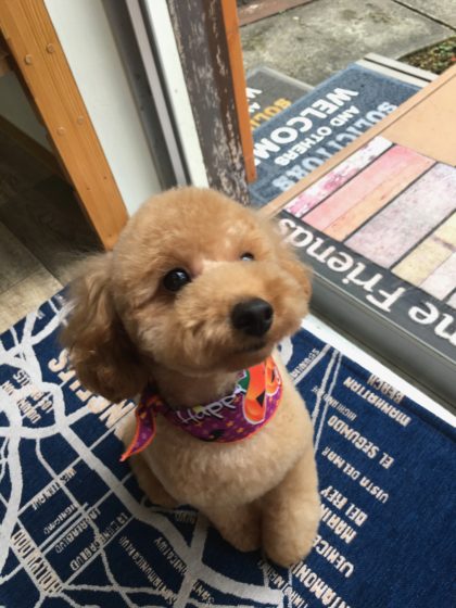 Processed with MOLDIV