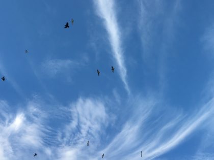 Processed with MOLDIV