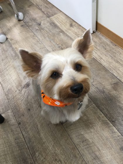 Processed with MOLDIV