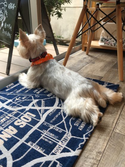 Processed with MOLDIV