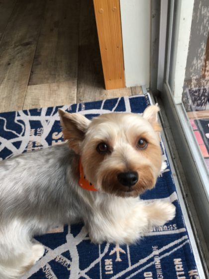 Processed with MOLDIV