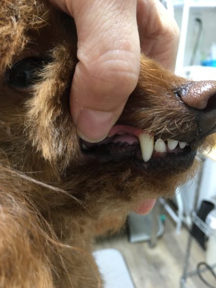 Processed with MOLDIV