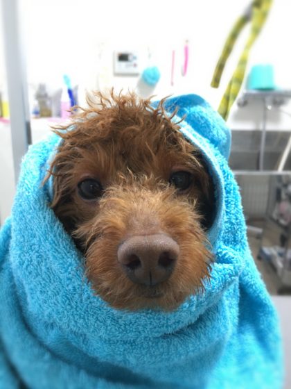 Processed with MOLDIV