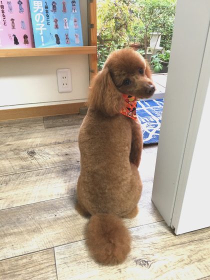 Processed with MOLDIV