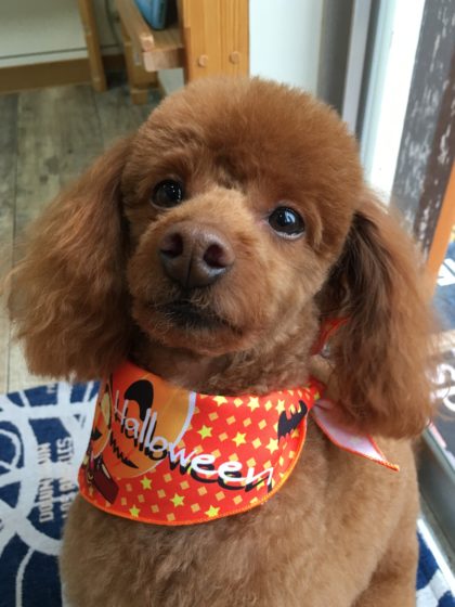 Processed with MOLDIV