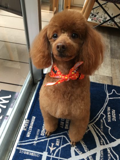 Processed with MOLDIV