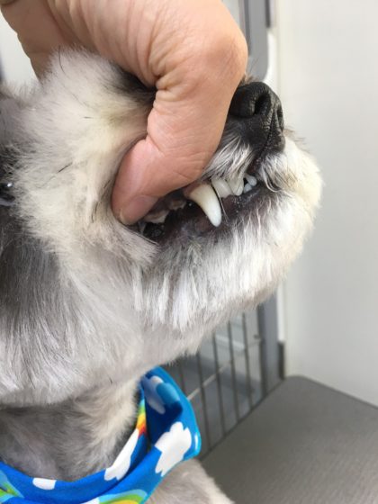 Processed with MOLDIV