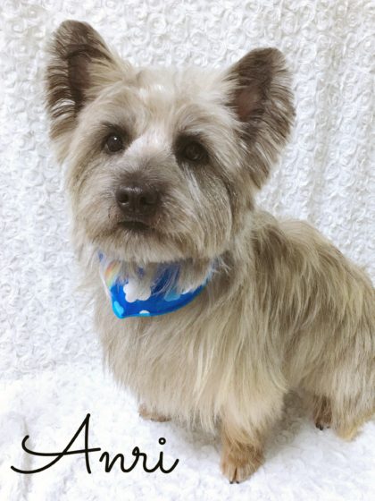 Processed with MOLDIV