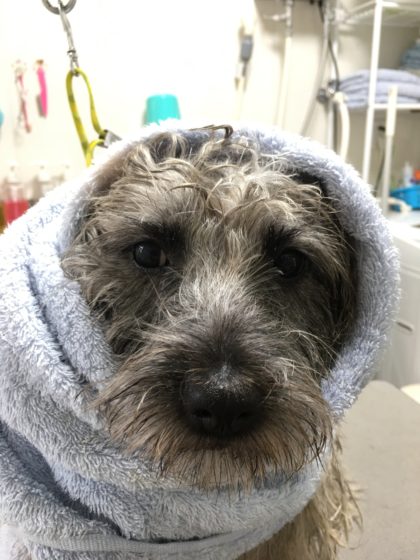 Processed with MOLDIV