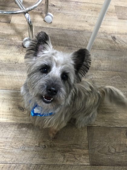 Processed with MOLDIV