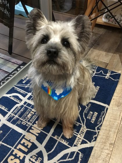 Processed with MOLDIV