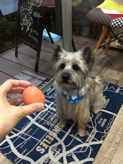 Processed with MOLDIV