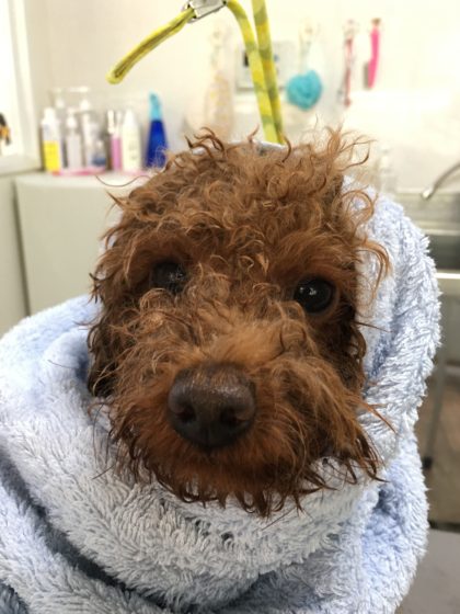 Processed with MOLDIV