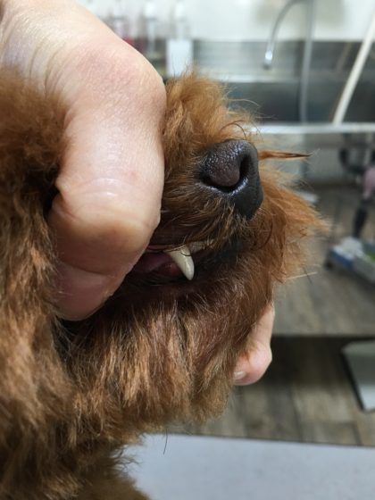 Processed with MOLDIV