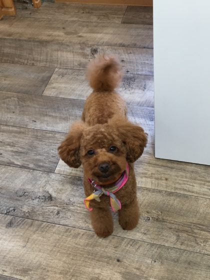 Processed with MOLDIV