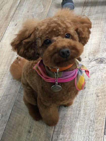 Processed with MOLDIV