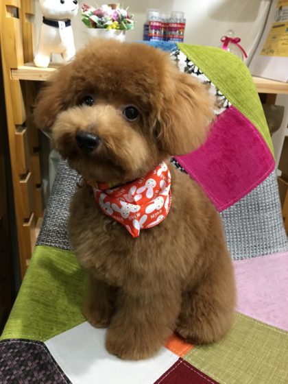 Processed with MOLDIV