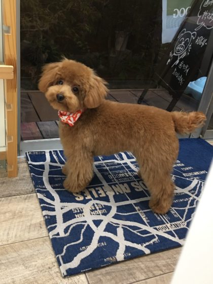 Processed with MOLDIV