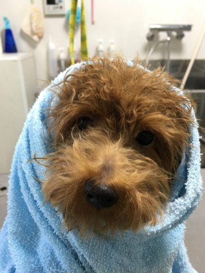 Processed with MOLDIV