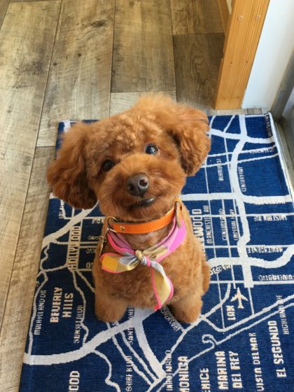 Processed with MOLDIV