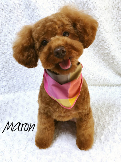 Processed with MOLDIV