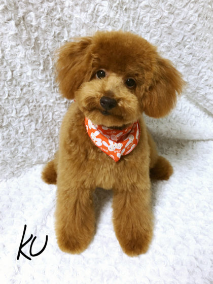 Processed with MOLDIV