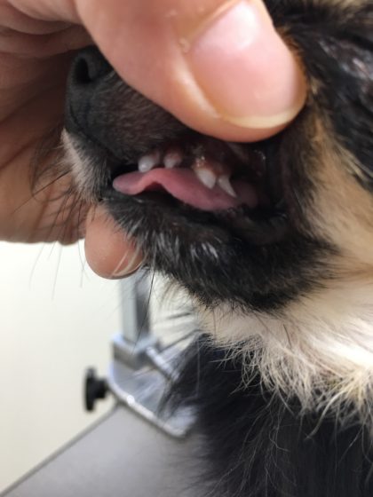 Processed with MOLDIV