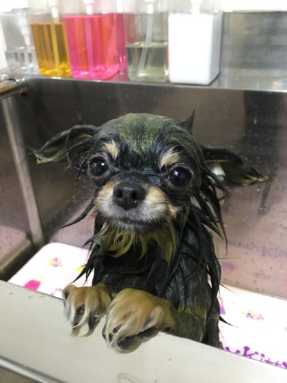 Processed with MOLDIV