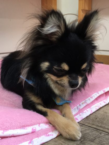 Processed with MOLDIV